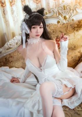 一区免费在线